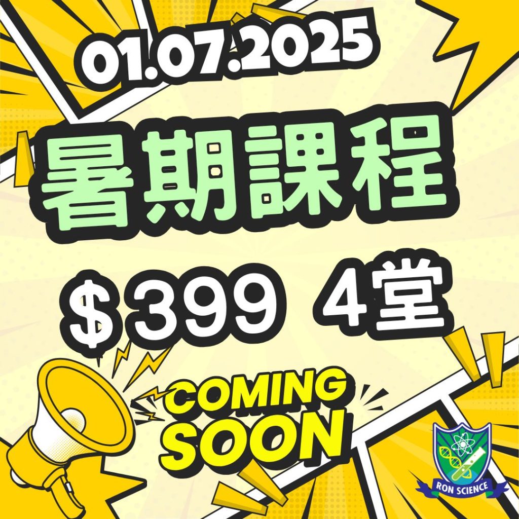 中文 最強 暑期班 暑期優惠 $399 4堂 summer course 想補中文 補中文班 中文補習? 搵朗林理學啦 2025 2026 2027 2028